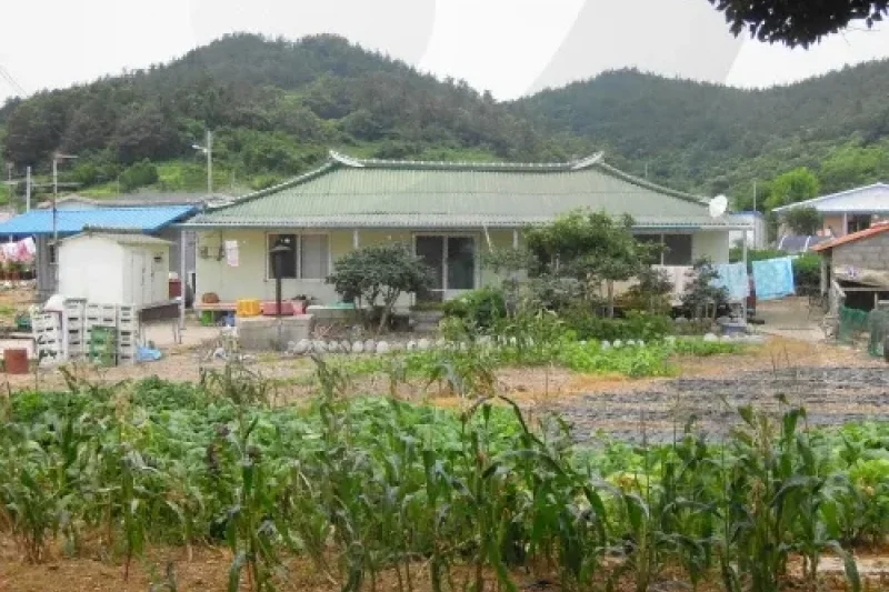 松耳岛 (9/11)