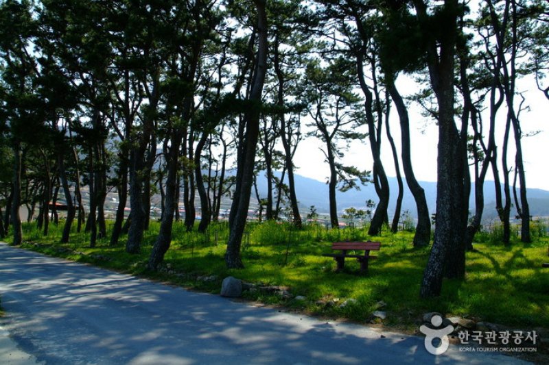 新兴里海水浴场