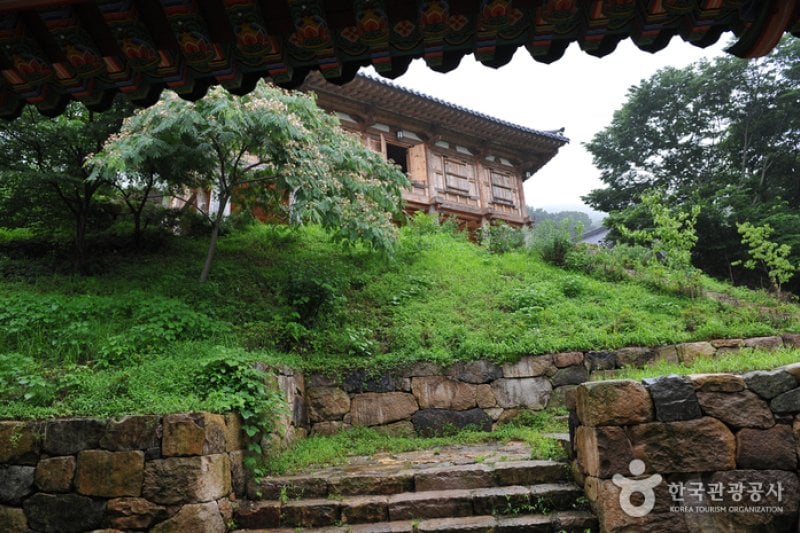 龙泉寺 (5/15)