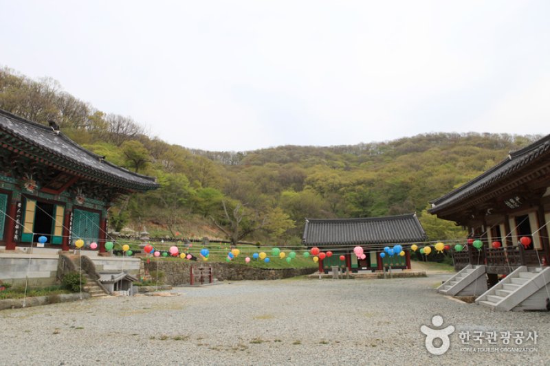 龙泉寺 (8/15)