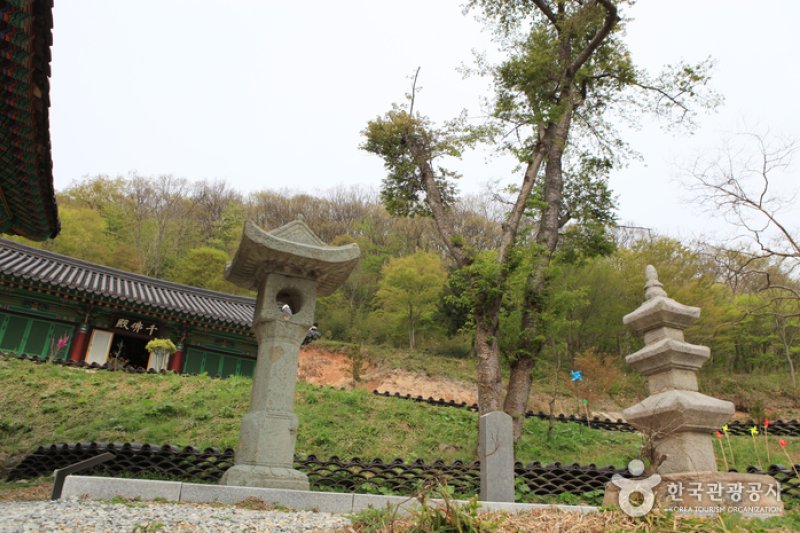 龙泉寺 (11/15)