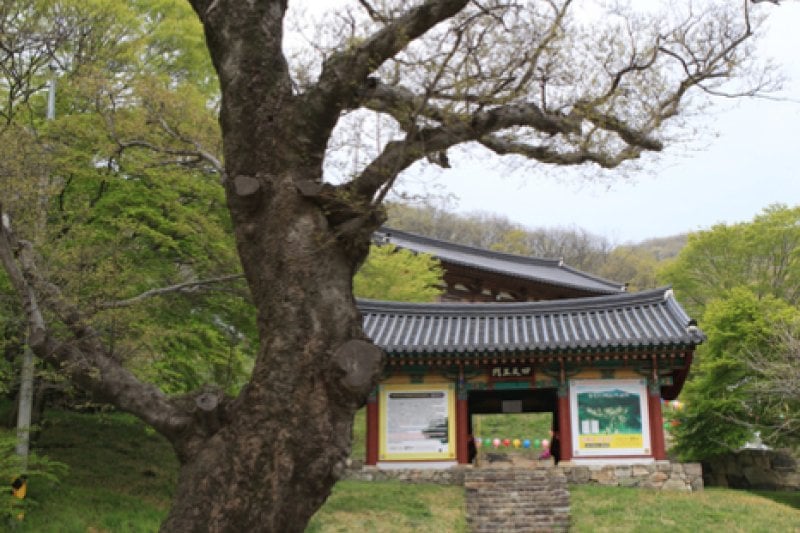 龙泉寺 (15/15)