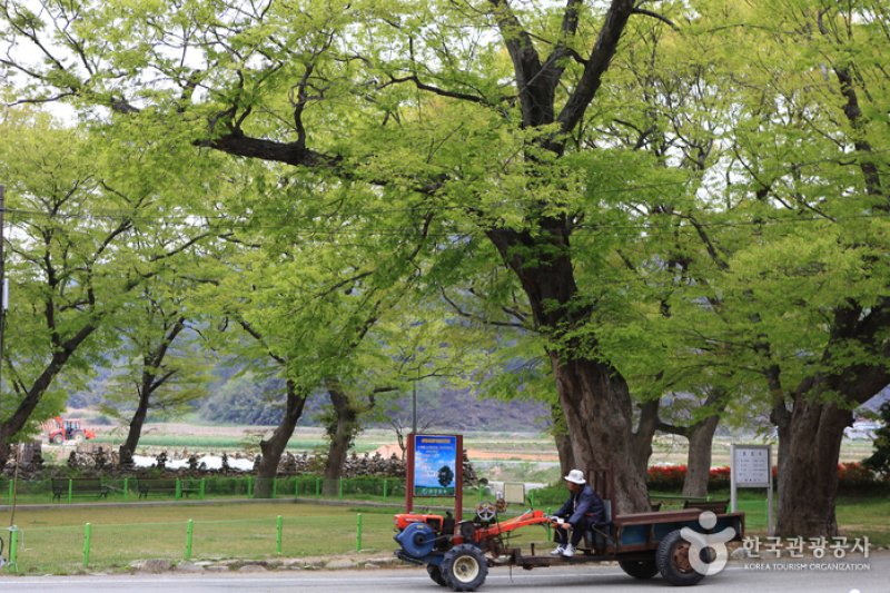 牟平村모평마을
