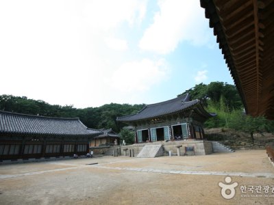桐华寺