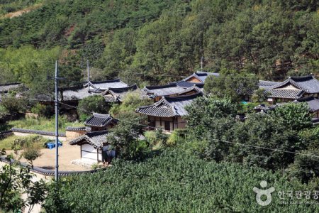 大邱漆树谷村대구 옻골마을