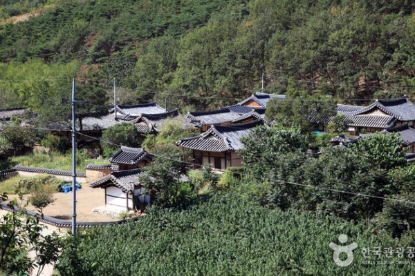 大邱漆树谷村대구 옻골마을