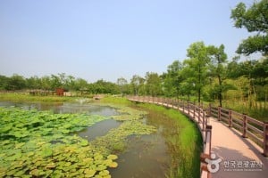 大田树木园