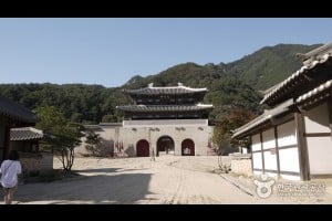 闻庆鸟岭开放摄影地