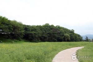 庆州月城