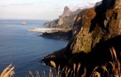 郁陵岛