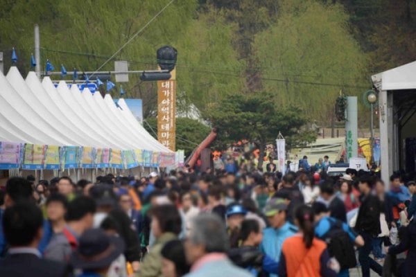 大伽倻体验庆典