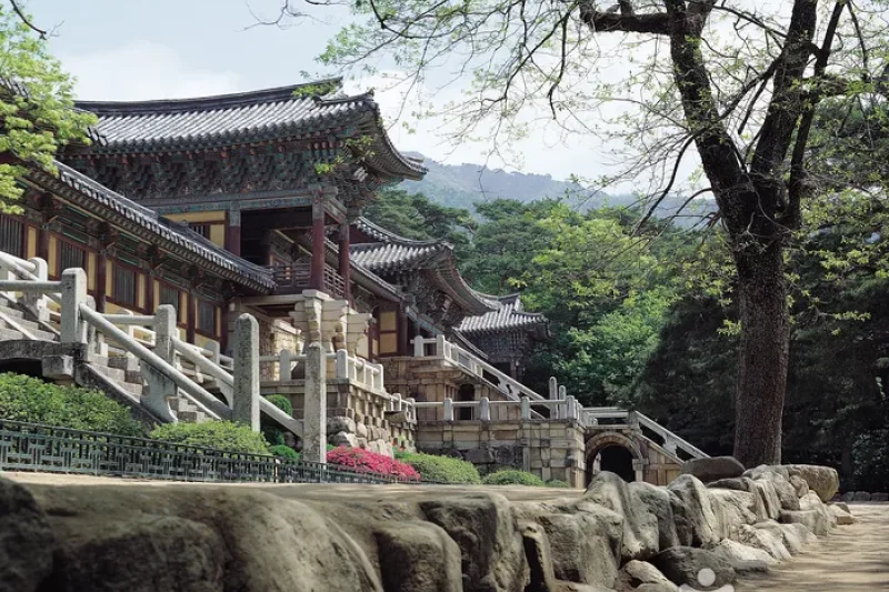 庆州国立公园
