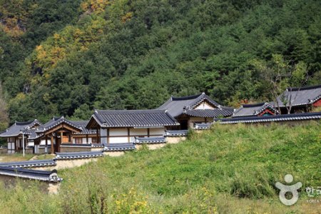 [名品古宅]聋岩宗宅([명품고택]농암종택)