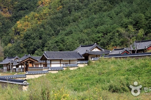 [名品古宅]聋岩宗宅([명품고택]농암종택)