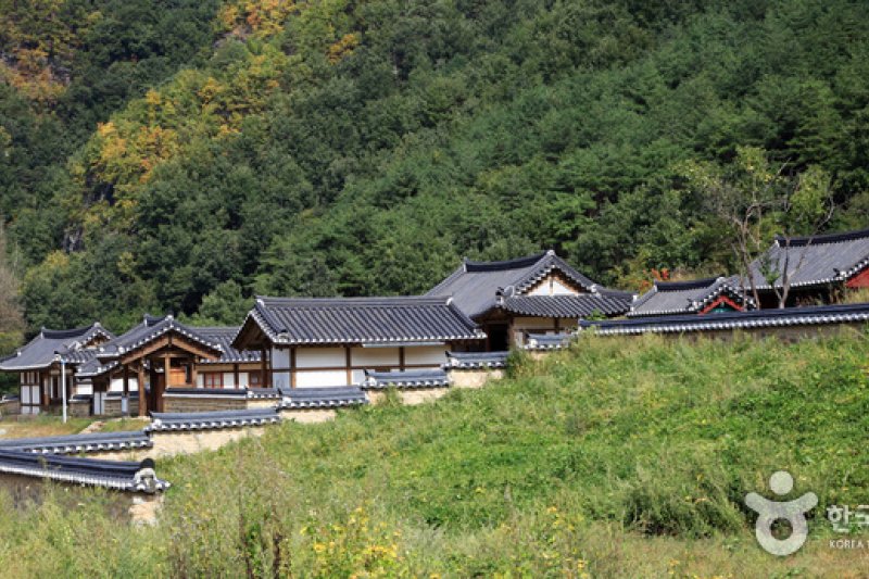 [名品古宅]聋岩宗宅([명품고택]농암종택) (1/52)
