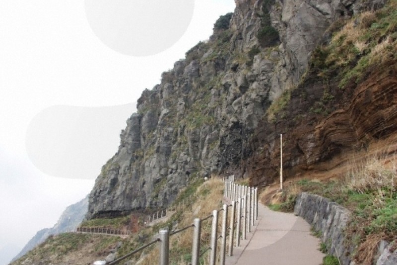 杏南海岸散步路