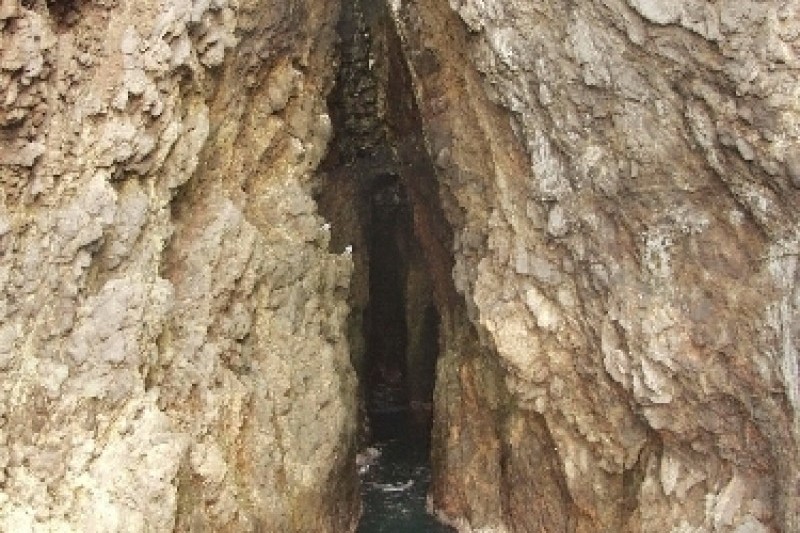 杏南海岸散步路