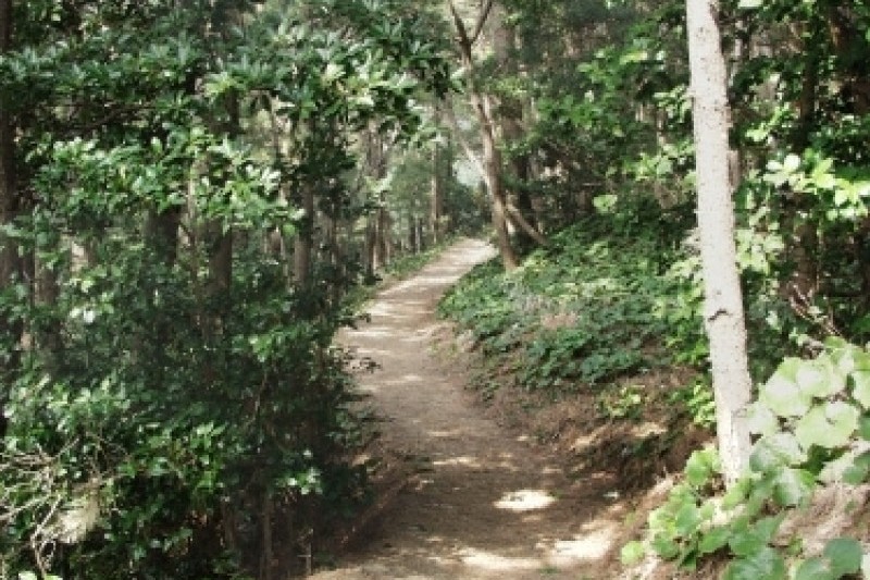 杏南海岸散步路