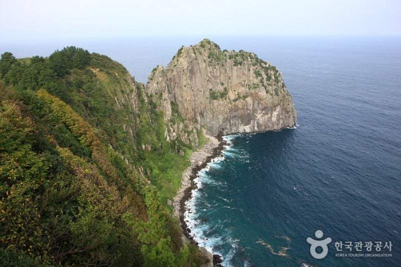 台霞香木观光单轨