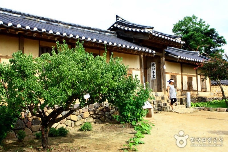 安东河回村[联合国教科文组织世界文化遗产]안동 하회마을 [유네스코 세계문화유산]