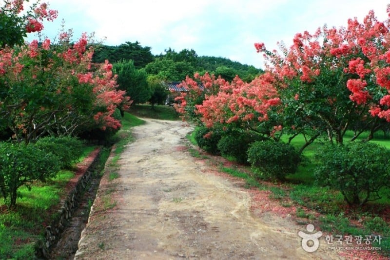 安东河回村[联合国教科文组织世界文化遗产]안동 하회마을 [유네스코 세계문화유산]