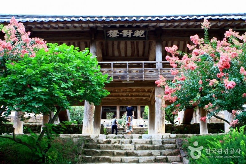 安东河回村[联合国教科文组织世界文化遗产]안동 하회마을 [유네스코 세계문화유산]