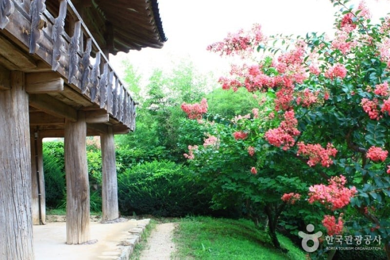 安东河回村[联合国教科文组织世界文化遗产]안동 하회마을 [유네스코 세계문화유산]
