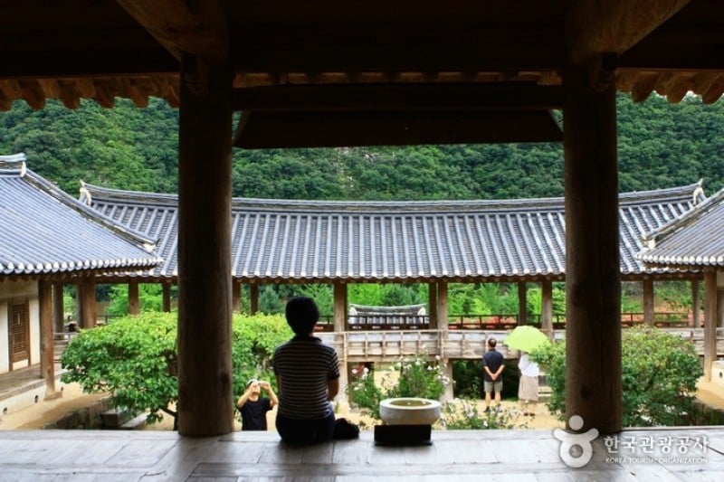 安东河回村[联合国教科文组织世界文化遗产]안동 하회마을 [유네스코 세계문화유산]