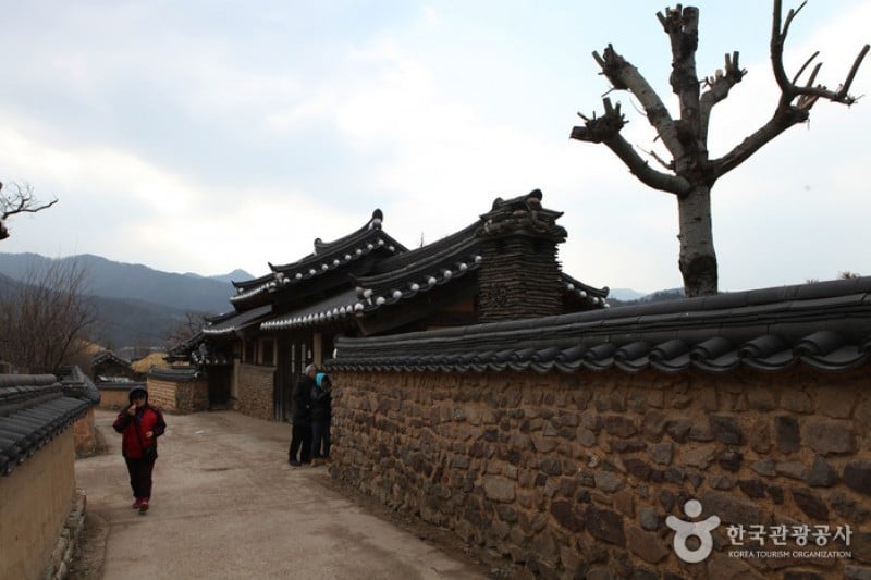 安东河回村[联合国教科文组织世界文化遗产]안동 하회마을 [유네스코 세계문화유산]