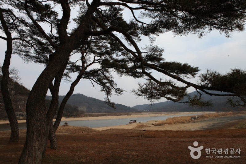 安东河回村[联合国教科文组织世界文化遗产]안동 하회마을 [유네스코 세계문화유산]