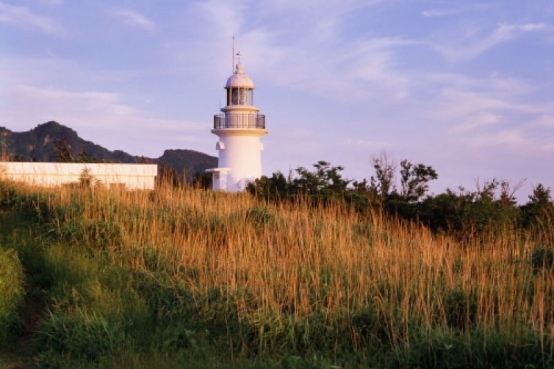 郁陵岛
