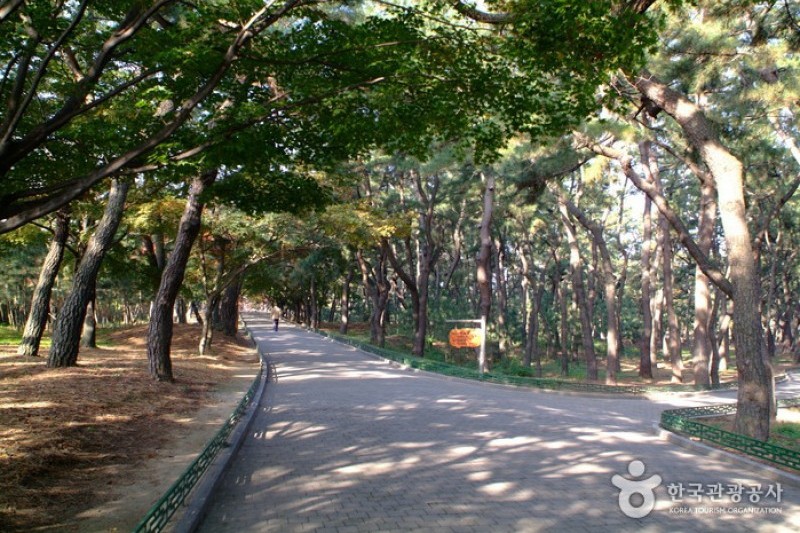 大陵苑-天马冢
