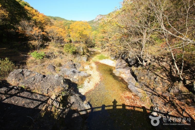 周王山国立公园 (2/37)