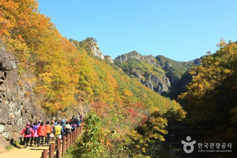 周王山国立公园 (22/37)