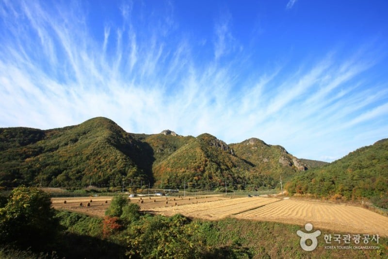 周王山国立公园 (23/37)