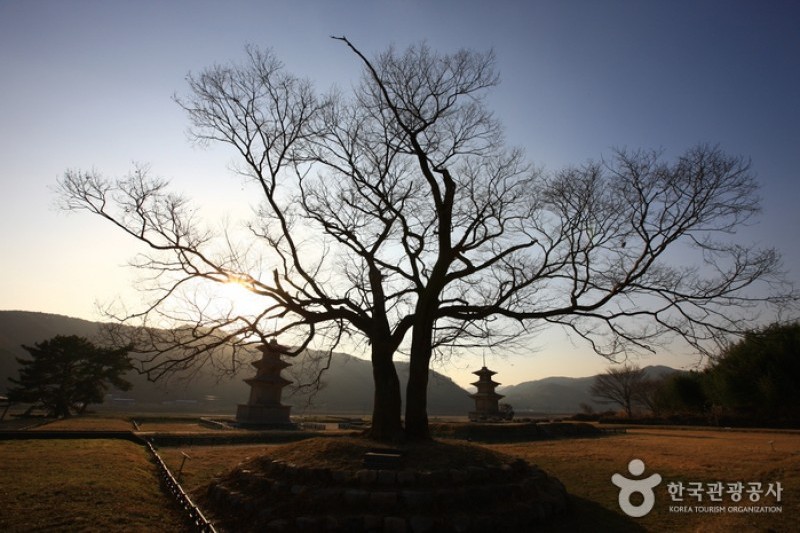 庆州感恩寺址 (24/25)