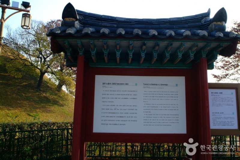 金冠冢