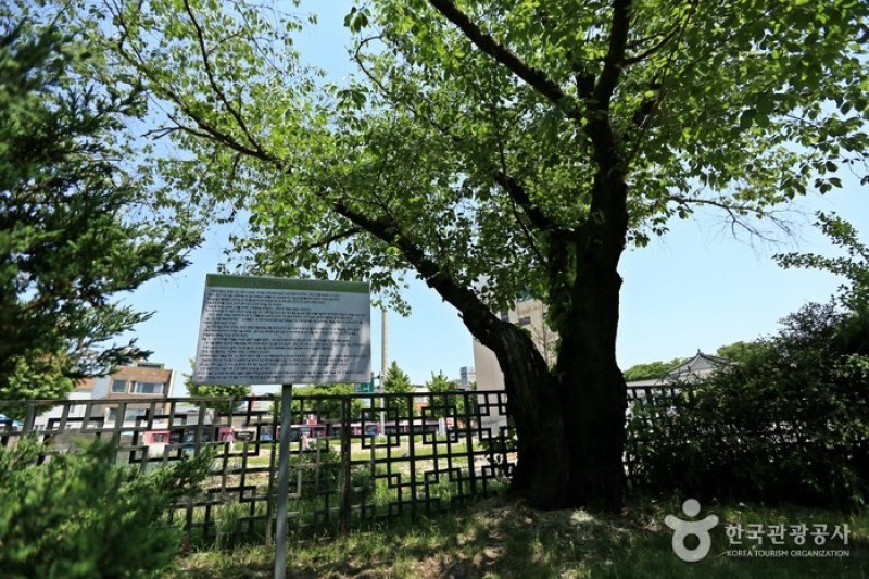 安东云兴洞幢竿支柱和东部洞五层砖塔