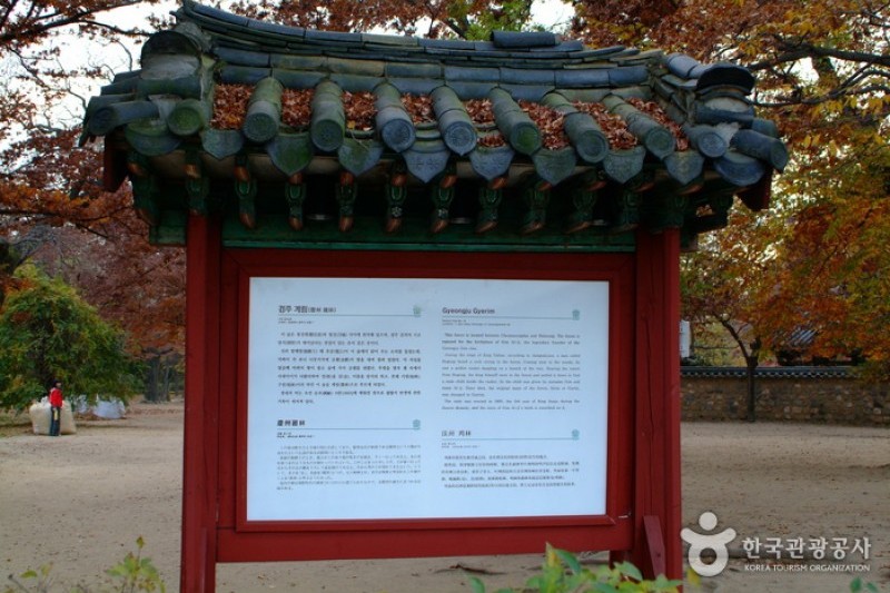 庆州鸡林