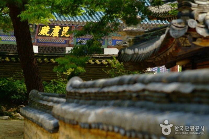 直指寺 (9/11)