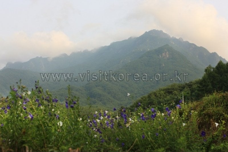 伽倻山国立公园 (1/12)