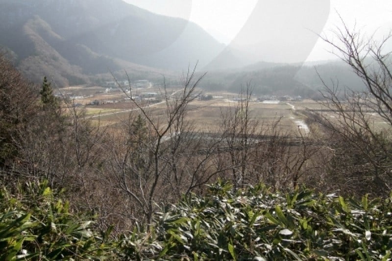 罗里盆地