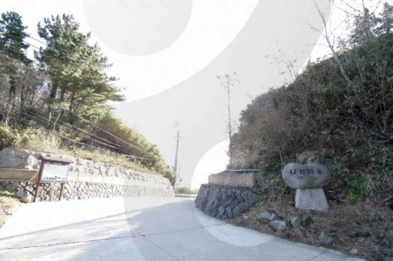 罗里盆地