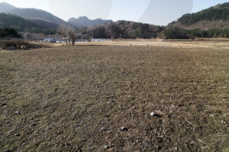 罗里盆地