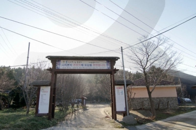罗里盆地