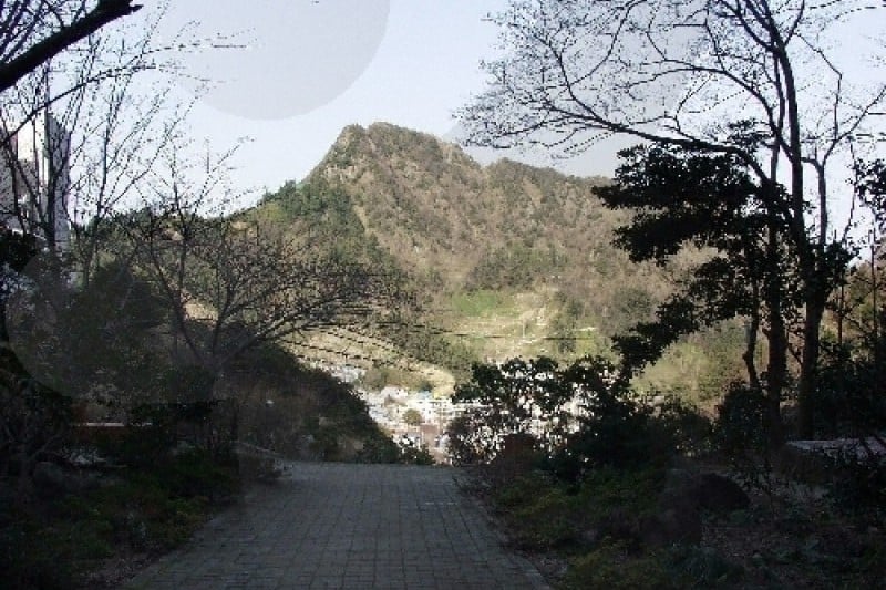 道洞药水公园