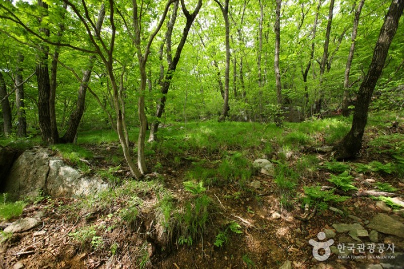 金乌山道立公园