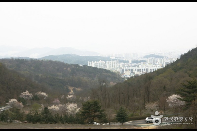 金乌山道立公园