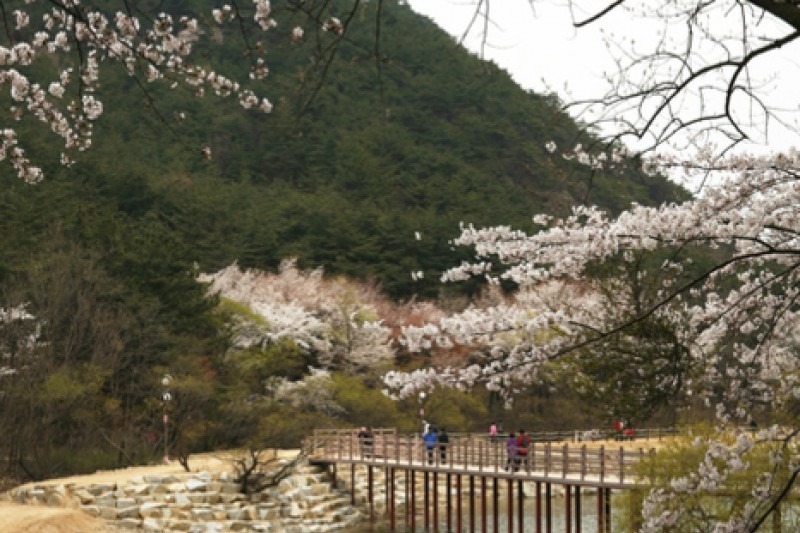 金乌山道立公园