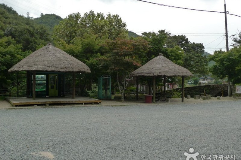 祗林寺 (19/31)